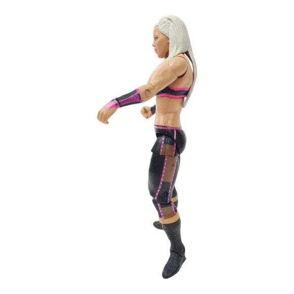WWE Dana Brooke Wrestling Action Figure 6.25" Toy Loose 2013 Mattel - Picture 3 of 12